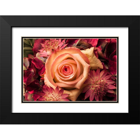Blumengesteck II Black Modern Wood Framed Art Print with Double Matting by Brosius, Volker