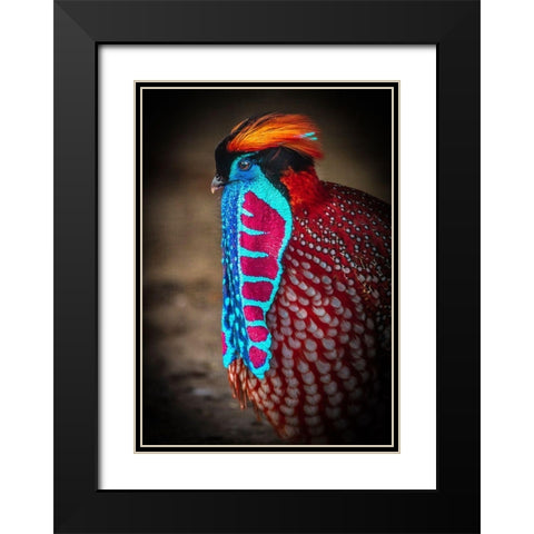 Tropical Bird Black Modern Wood Framed Art Print with Double Matting by Ronin