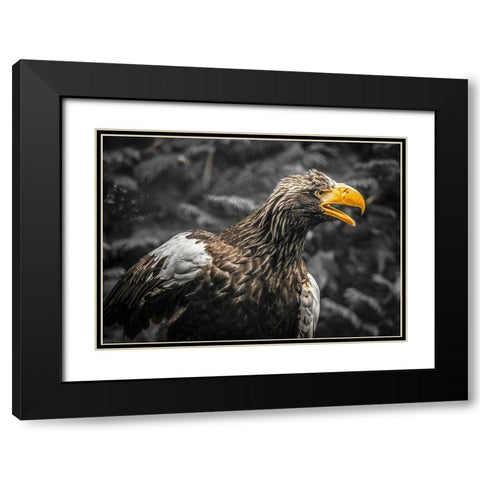 Stellar Eagle Black Modern Wood Framed Art Print with Double Matting by Ronin