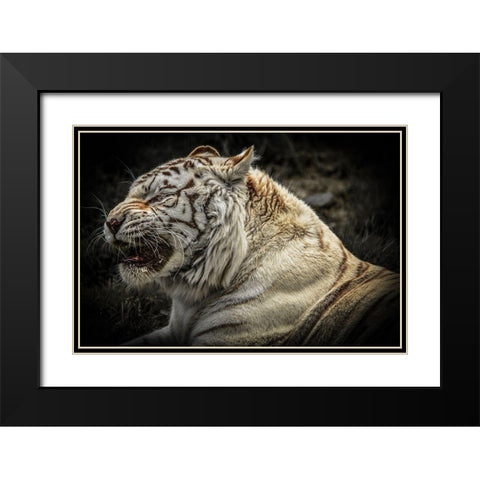 The Lygar Black Modern Wood Framed Art Print with Double Matting by Ronin