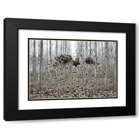 Pause NÃºmero I Black Modern Wood Framed Art Print with Double Matting by Vallinas Prieto, Miguel