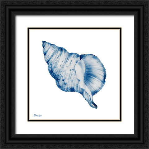 Grenada Shells III - Indigo Black Ornate Wood Framed Art Print with Double Matting by Brent, Paul