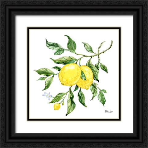 Sicilian Lemons II Black Ornate Wood Framed Art Print with Double Matting by Brent, Paul