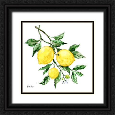 Sicilian Lemons III Black Ornate Wood Framed Art Print with Double Matting by Brent, Paul