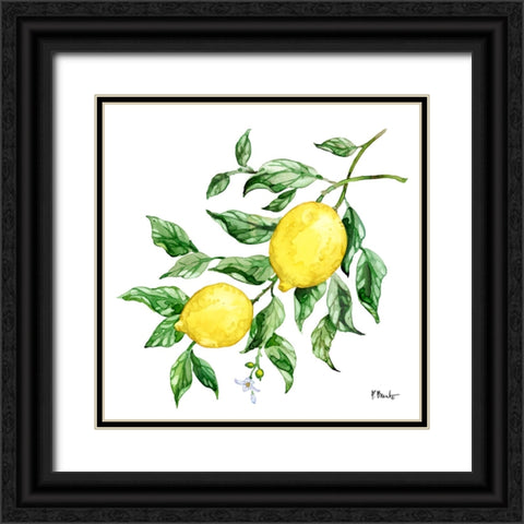 Sicilian Lemons IV Black Ornate Wood Framed Art Print with Double Matting by Brent, Paul