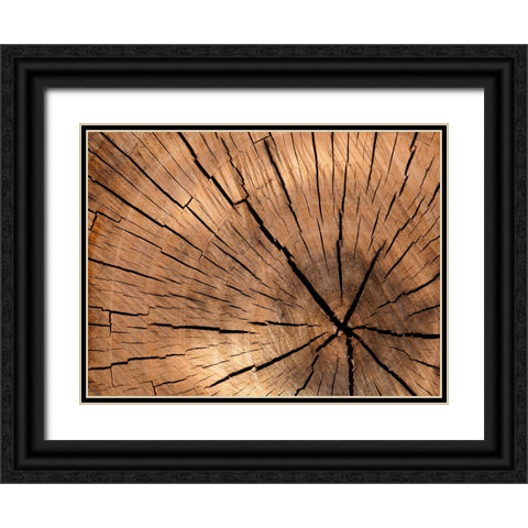Abstract 4 Black Ornate Wood Framed Art Print with Double Matting by Lee, Rachel