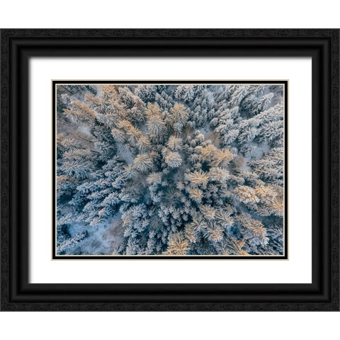 Aerial 11 Black Ornate Wood Framed Art Print with Double Matting by Lee, Rachel