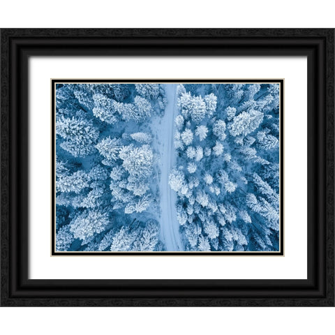 Aerial 16 Black Ornate Wood Framed Art Print with Double Matting by Lee, Rachel