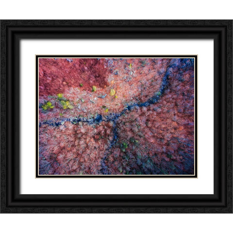 Aerial 2 Black Ornate Wood Framed Art Print with Double Matting by Lee, Rachel