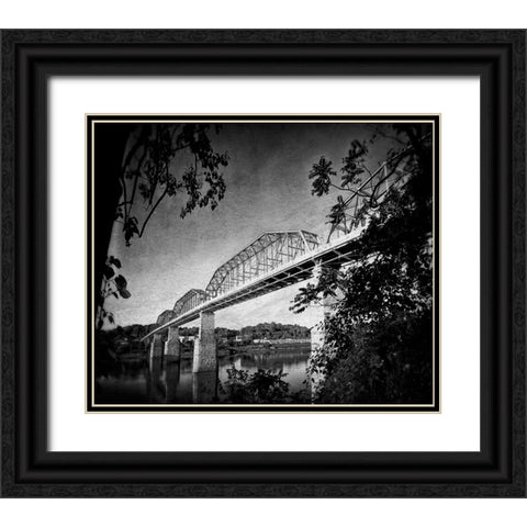 Afternoon Walnut BW Black Ornate Wood Framed Art Print with Double Matting by Lee, Rachel
