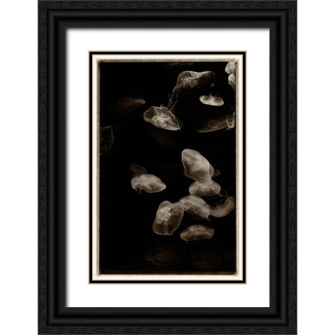Antique Jellies 1 Black Ornate Wood Framed Art Print with Double Matting by Lee, Rachel