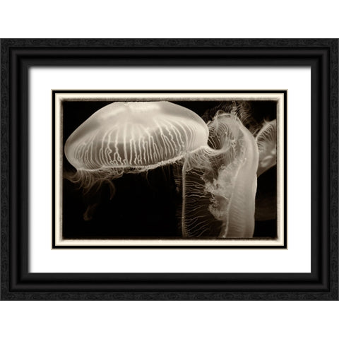 Antique Jellies 2 Black Ornate Wood Framed Art Print with Double Matting by Lee, Rachel