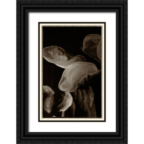 Antique Jellies 3 Black Ornate Wood Framed Art Print with Double Matting by Lee, Rachel