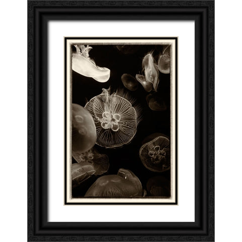 Antique Jellies 4 Black Ornate Wood Framed Art Print with Double Matting by Lee, Rachel