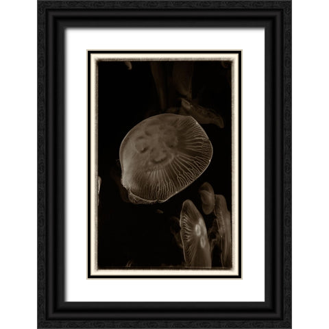 Antique Jellies 5 Black Ornate Wood Framed Art Print with Double Matting by Lee, Rachel