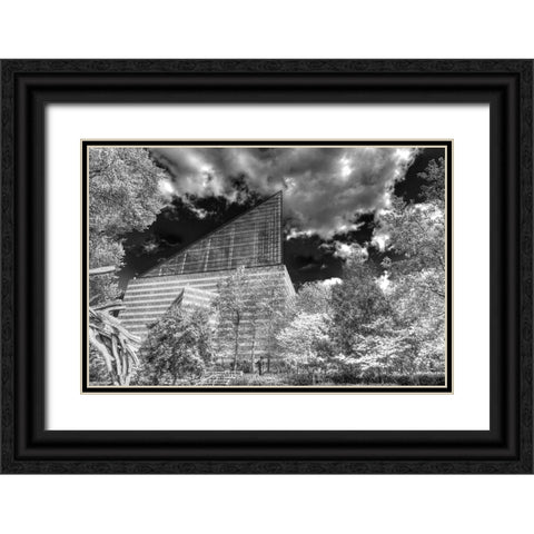 Aquarium 2 HDR BW Black Ornate Wood Framed Art Print with Double Matting by Lee, Rachel