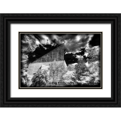 Aquarium 2 HDR BW Holga Black Ornate Wood Framed Art Print with Double Matting by Lee, Rachel