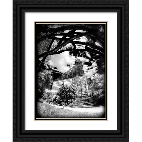 Aquarium Sun BW Holga Black Ornate Wood Framed Art Print with Double Matting by Lee, Rachel