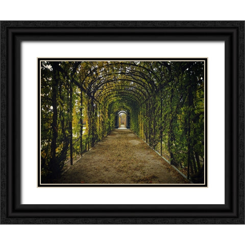 Architectural 3 Black Ornate Wood Framed Art Print with Double Matting by Lee, Rachel