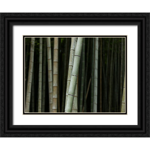 Bamboo Black Ornate Wood Framed Art Print with Double Matting by Lee, Rachel