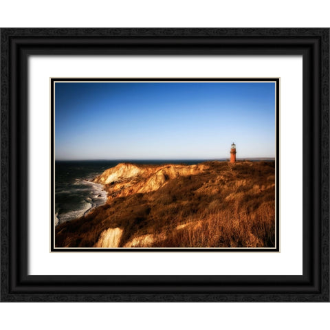 Beach 11 Black Ornate Wood Framed Art Print with Double Matting by Lee, Rachel