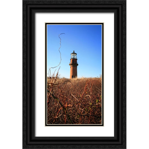 Beach 12 Black Ornate Wood Framed Art Print with Double Matting by Lee, Rachel
