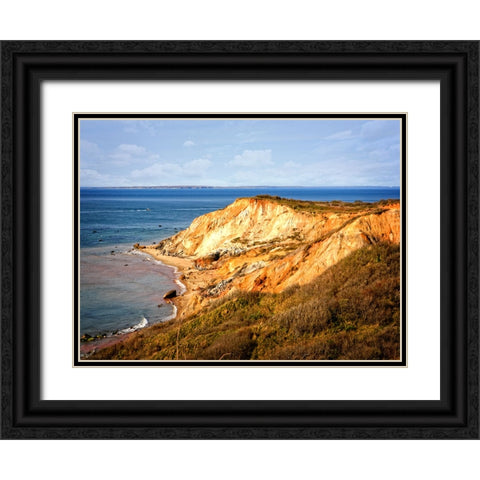 Beach 19 Black Ornate Wood Framed Art Print with Double Matting by Lee, Rachel