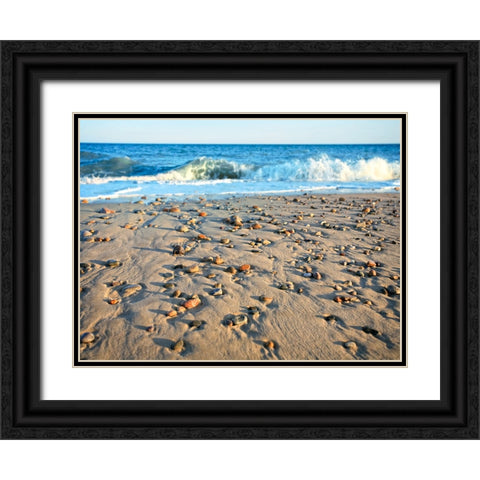 Beach 21 Black Ornate Wood Framed Art Print with Double Matting by Lee, Rachel