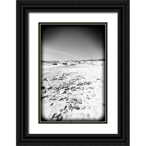 Beach 26 BW Holga Black Ornate Wood Framed Art Print with Double Matting by Lee, Rachel