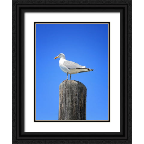 Beach 27 Black Ornate Wood Framed Art Print with Double Matting by Lee, Rachel