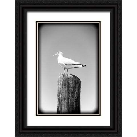 Beach 27 BW Holga Black Ornate Wood Framed Art Print with Double Matting by Lee, Rachel