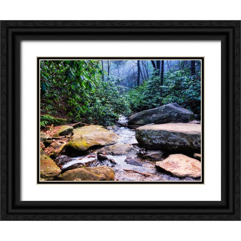 Benton Falls 2 Black Ornate Wood Framed Art Print with Double Matting by Lee, Rachel
