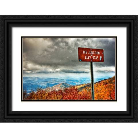 Big Junction Black Ornate Wood Framed Art Print with Double Matting by Lee, Rachel