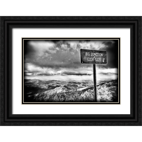 Big Junction BW Holga Black Ornate Wood Framed Art Print with Double Matting by Lee, Rachel