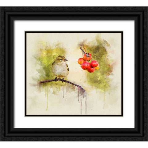 Bird 1 Watercolor Black Ornate Wood Framed Art Print with Double Matting by Lee, Rachel