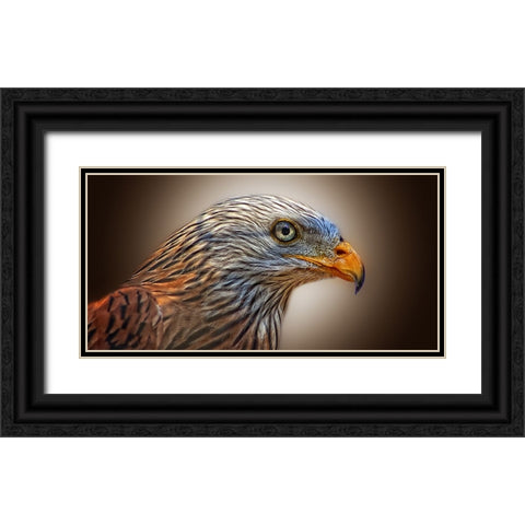 Bird 11 Black Ornate Wood Framed Art Print with Double Matting by Lee, Rachel
