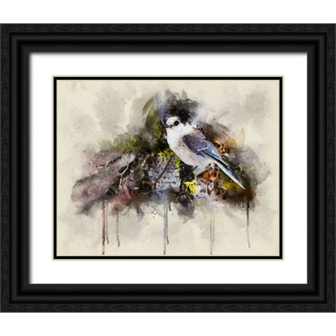 Bird 13 Watercolor Black Ornate Wood Framed Art Print with Double Matting by Lee, Rachel
