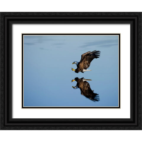 Bird 16 Black Ornate Wood Framed Art Print with Double Matting by Lee, Rachel