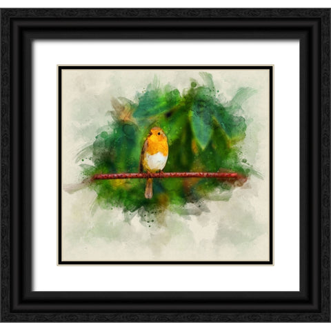 Bird 17 Watercolor Black Ornate Wood Framed Art Print with Double Matting by Lee, Rachel