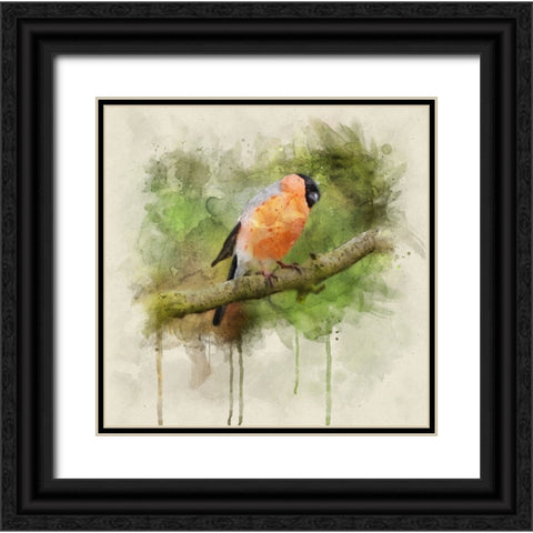 Bird 2 Watercolor Black Ornate Wood Framed Art Print with Double Matting by Lee, Rachel