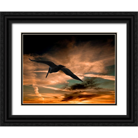 Bird 29 Black Ornate Wood Framed Art Print with Double Matting by Lee, Rachel