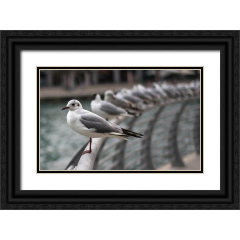 Bird 44 Black Ornate Wood Framed Art Print with Double Matting by Lee, Rachel