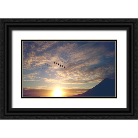 Bird 45 Black Ornate Wood Framed Art Print with Double Matting by Lee, Rachel