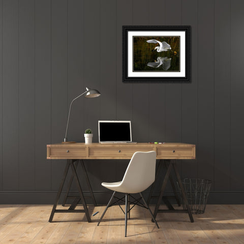 Bird 46 Black Ornate Wood Framed Art Print with Double Matting by Lee, Rachel
