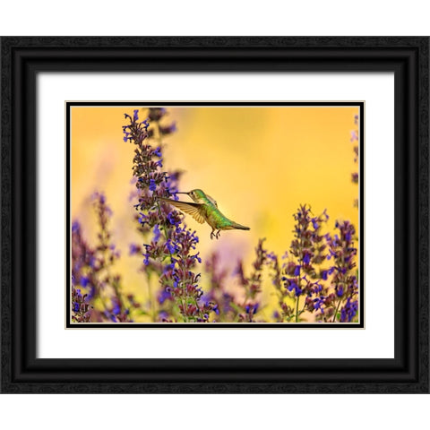 Bird 50 Black Ornate Wood Framed Art Print with Double Matting by Lee, Rachel