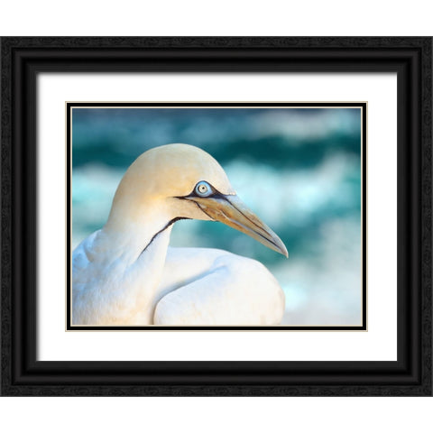 Bird 60 Black Ornate Wood Framed Art Print with Double Matting by Lee, Rachel