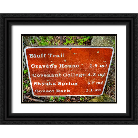 Bluff Trail Sign Black Ornate Wood Framed Art Print with Double Matting by Lee, Rachel