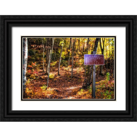 Boyd Gap Trail Black Ornate Wood Framed Art Print with Double Matting by Lee, Rachel