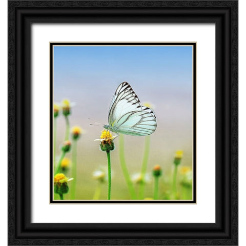Butterfly 10 Dyptych Panel 2 Black Ornate Wood Framed Art Print with Double Matting by Lee, Rachel