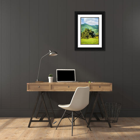 Cades Cove Tree Black Ornate Wood Framed Art Print with Double Matting by Lee, Rachel